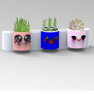 conjunto tendernecitis plantas ollas maceterosxcultos jardín hogar casa decoraciones verde 3d print model - Mito3D
