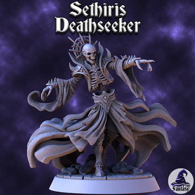 sethiris - chaos & order v1 game kickstarter 3d 3dmodel 3dprint stl 3dprinting elves fantasy girl models rks3d miniatures dnd painting tabletop tabletopgaming collectors magic assassin sorcerer 3d print model - Mito3D