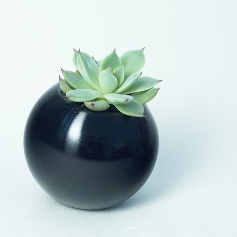 sfera maceta casa de la esfera matemáticas suculentas los cactus decoración del hogar oficina 3D print model - Mito3D