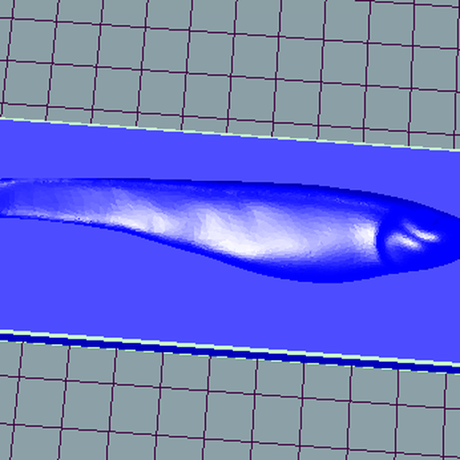 tirsi balığı big headed Balık tutma cezbetmek kalıp araç 3D print model - Mito3D