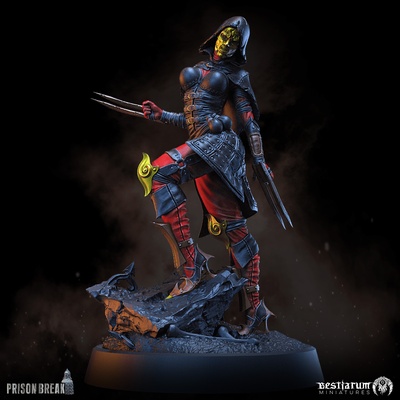 espada oscura juego héroe horror miniaturas jugador rpg guerra personaje pc asesino pícaro ladrón 32mm 5e sombrío animales fantasía penitente salmo prohibido 3d print model - Mito3D