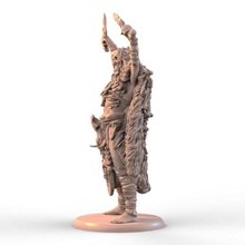 shaman fantasy 3d print model - Mito3D