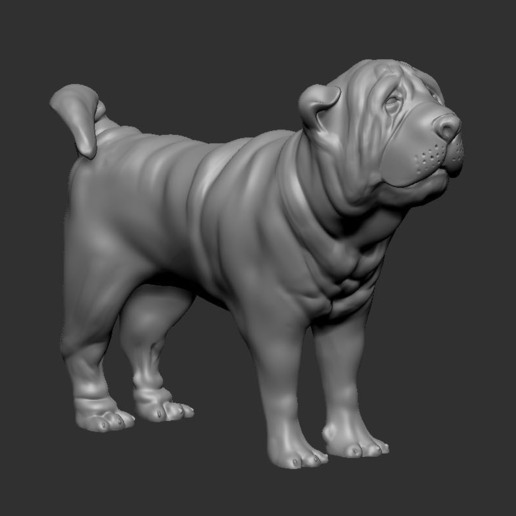 shar pei animale cane mascotte 3D print model - Mito3D