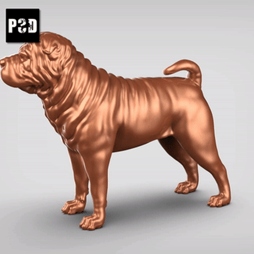 shar pei chien pose 01 art sharpei animal jouet compagnie figurines 3D print model - Mito3D