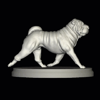 shar pei caminhando arte Shar Pei afiado francês diorama buldogue Inglês touro cão esculpir americano valentão exótico animal brinquedos brinquedo escultura cachorros 3d print model - Mito3D