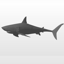 shark Hai Kunst 3d print model - Mito3D