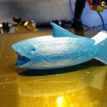 shark 3d print model - Mito3D