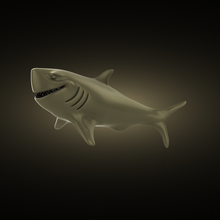 Köpekbalığı 3d print model - Mito3D