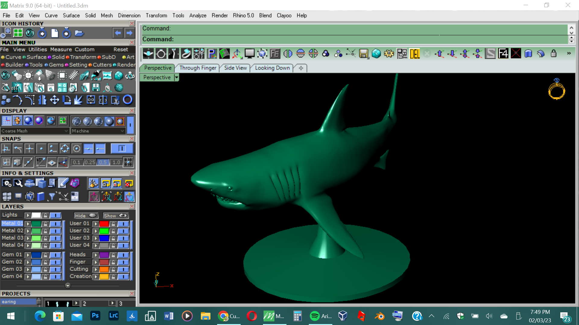 squalo animale arte 3D print model - Mito3D