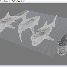 Hai Schmuck Tier toll Fisch Unterwasser säugetier predator Ozean Natur drucken Meer Wasser bedruckbar ist miniaturen andere 3d print model - Mito3D