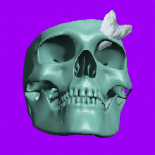 shark attack home aquarium skull scenery potty 3d print model - Mito3D