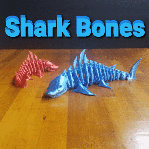 squalo ossatura bonus file preistorico ratto aggiornato File giocattolo pesce articolato mostro arte animale 3D print model - Mito3D