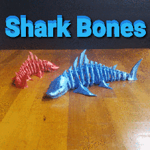 squalo ossatura bonus file preistorico ratto aggiornato File giocattolo pesce articolato mostro arte animale 3d print model - Mito3D