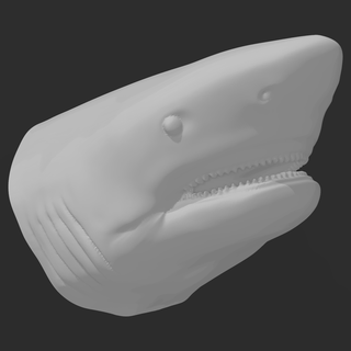tiburón cabeza busto pared Arte Excelente blanco Tigre Oceano mar marina vida toro 3d print model - Mito3D