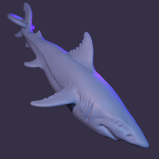 shark keychain 3d print model - Mito3D