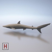 requin low poly art la faible résolution pixels 3d print model - Mito3D