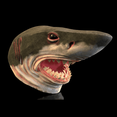 requin masque marteau poisson costume halloween monstre cosplayeur collection faune dangereux océan be rivière l'eau marin préhistorique nature animal 3d print model - Mito3D