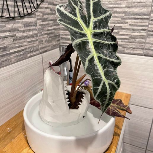 shark planter pot storage container 3D print model - Mito3D