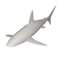 Tubarão selvagem animais 3d print model - Mito3D
