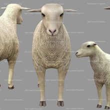 mouton animation 3d print model - Mito3D