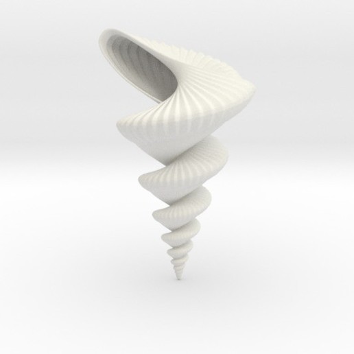 shell art 3D print model - Mito3D