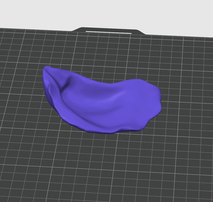 cáscara sirena conchas gusano venda corona decorativo accesorios 3d print model - Mito3D