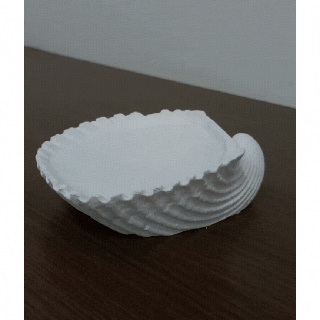 coquille objet titulaire soutien étagère corail art océan Trésor bijoux 3d print model - Mito3D