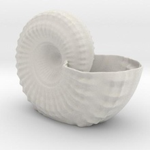 shell planteur divers pot de fleurs 3d print model - Mito3D