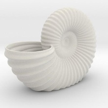 shell-Pflanzer home Blumentopf 3d print model - Mito3D