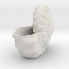 shell planteur la maison pot de fleurs 3d print model - Mito3D