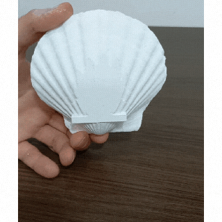 coquille savon plat étagère corail art objet titulaire soutien océan Trésor bijoux 3d print model - Mito3D