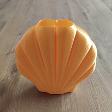 shell vase see deco decoration sea 3d print model - Mito3D