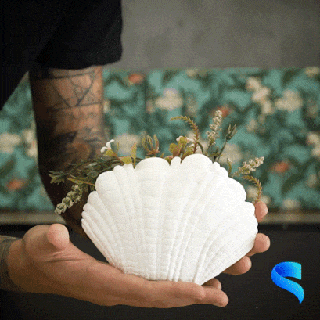 shell vase ocean sea house decor decoration useful 3d print model - Mito3D