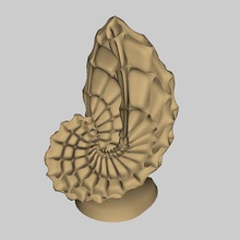 Schalentiere Kunst polymakerchallenge nautilus ammonite Landschaft Nippes 3d print model - Mito3D