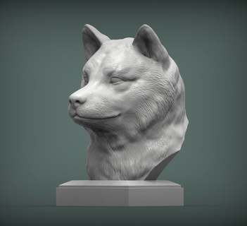 Shiba inu büst Shibainu köpek doğa memeli hayvan Evcil Hayvan heykel heykelcik hatıra mevcut 3d Yazdır model Sanat heykeller yazdırılabilir 3d print model - Mito3D