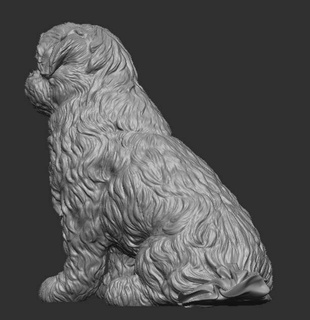 shih tzu animal mascote cão canino escultura colecionável realista estatueta miniatura arte presente lembrança cachorro estátua amante casa 3dprinting 3d print model - Mito3D