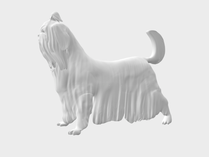 shithzu cane pitbull cane animale animale domestico trofeo cani podenco ibizenca shithzu 3D print model - Mito3D