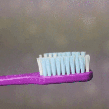 shmebulock dentifricio gadget gnomo gravità cascate dito giocattolo divertimento figura divertente spazzolino cap denti arcobaleno 3d print model - Mito3D