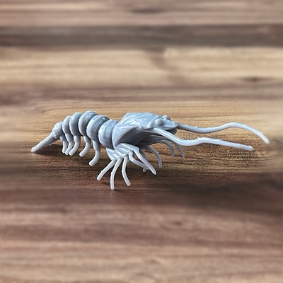 shrimp lure jigging jig lrf spin fish fishing 3d print model - Mito3D
