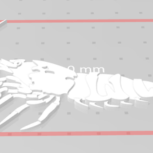 shrimp neocaridina caridina aquarium 3d print model - Mito3D