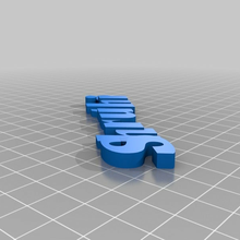 shruthi customized organization 3d print model - Mito3D