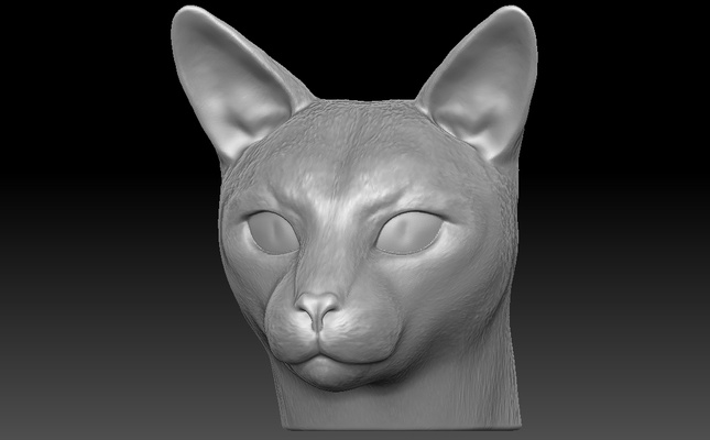 siyam kedi baş 3d baskı bengal maine rakun farsça bez bebek rusça mavi kama devon rex acayip kısa saç ingiliz hayvan köpek yerli doğurmak avrupalı 3d print model - Mito3D