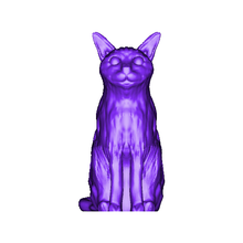 Siamois chat fauteur troubles mignonne 3d print model - Mito3D