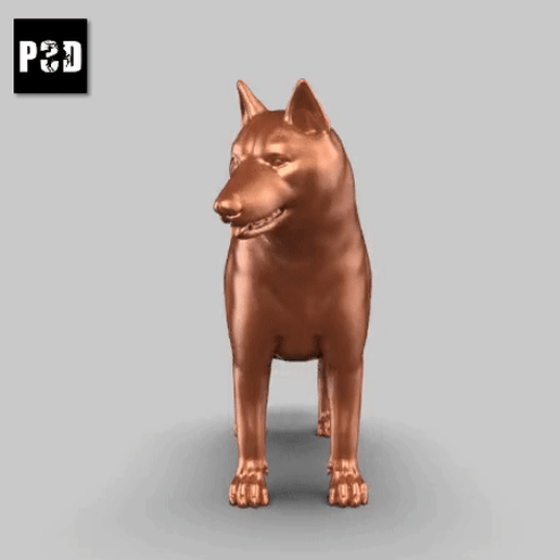 siberiano fornido pose 01 Arte perro animal juguete mascota figuritas 3D print model - Mito3D