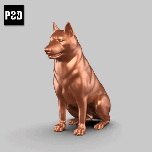 siberiano fornido pose 03 Arte perro animal juguete mascota figuritas 3D print model - Mito3D