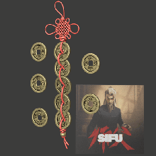 sifu magical coin talisman game gamer indie games kungfu cosplay ps5 martial art chinese 3d print model - Mito3D