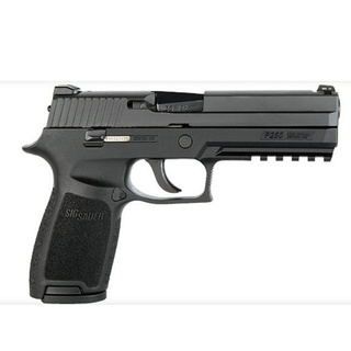 sig sauer p250 9mm pistol 3d print model - Mito3D