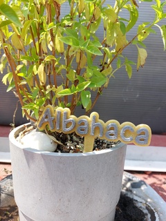 signe plantes marque menthe poivrée thym Origan basilic 3d print model - Mito3D