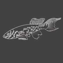 silhouette fish art animal wall decoration 3d print model - Mito3D