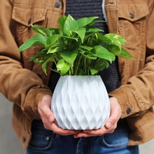 basit çatı vazo büyük ev çiçek sanat matematik geometri biyo-taklit okuyan bio bitki pot doğa 3d print model - Mito3D